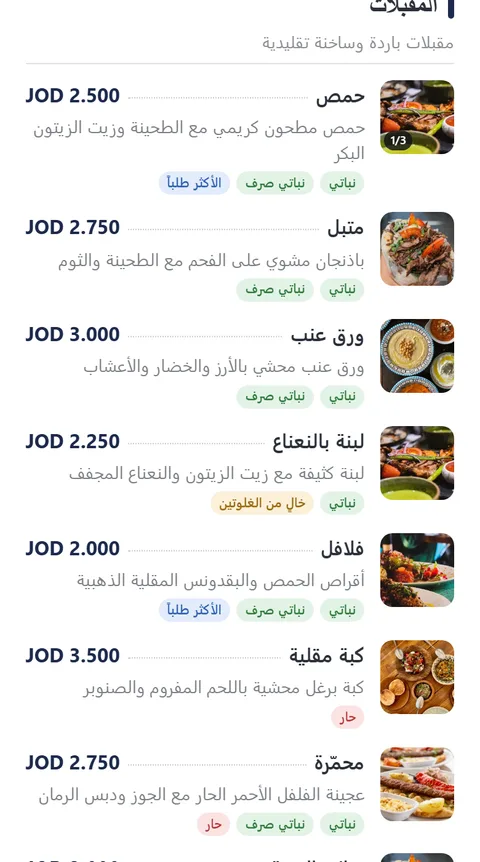 معاينة قالب Basic